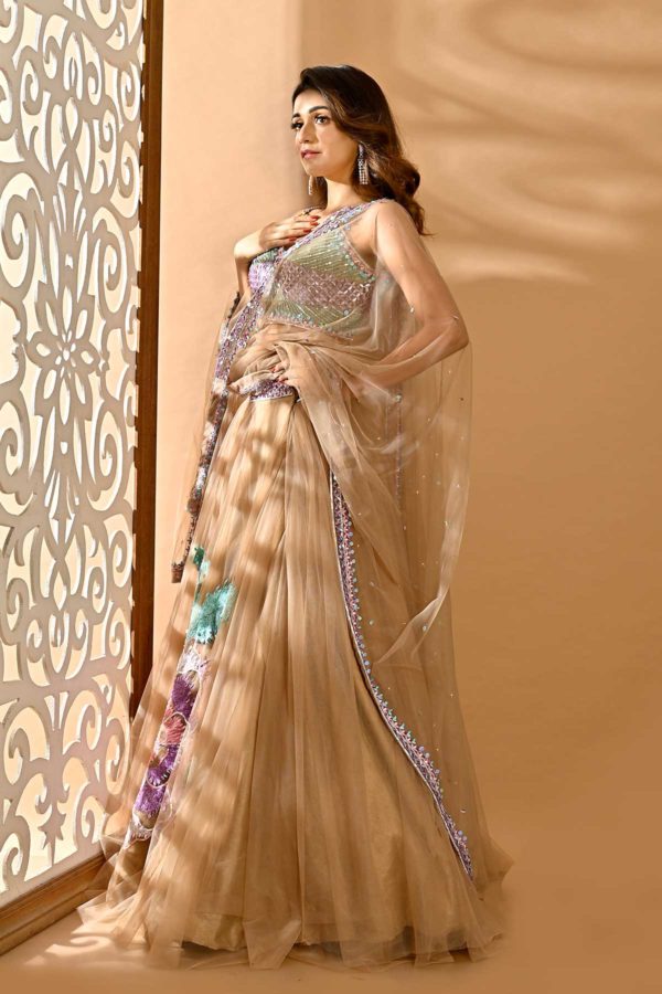 Elixir Brown Net Lehenga With Patch Embroidery